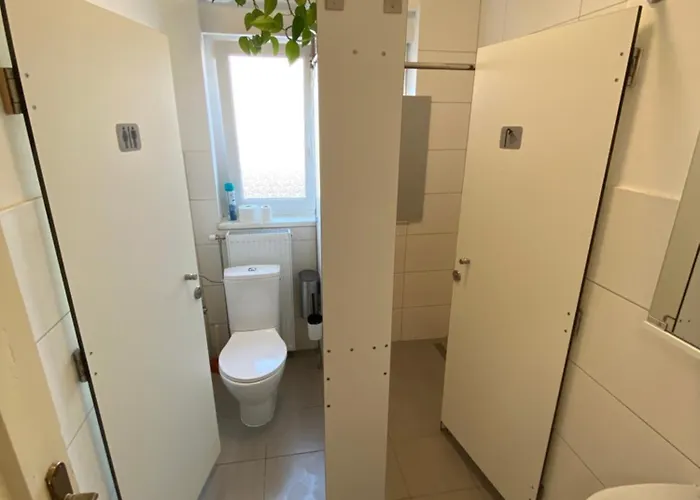 Greenslo بيت شباب