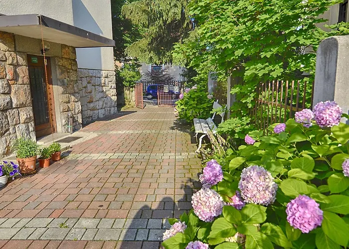 Greenslo بيت شباب